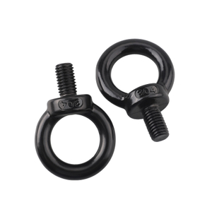 Boulons d'?il &agrave; oxyde noir en acier &agrave; haute r&eacute;sistance din580